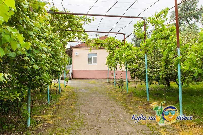 Hotel U Vili Pizunda Exterior foto